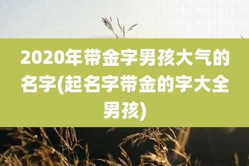 2020年带金字男孩大气的名字(起名字带金的字大全男孩)