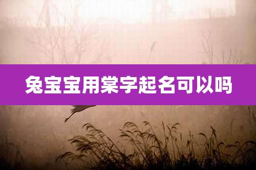 兔宝宝用棠字起名可以吗