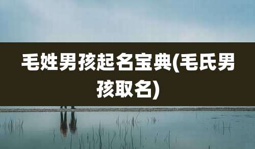 毛姓男孩起名宝典(毛氏男孩取名)