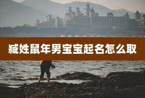 臧姓鼠年男宝宝起名怎么取