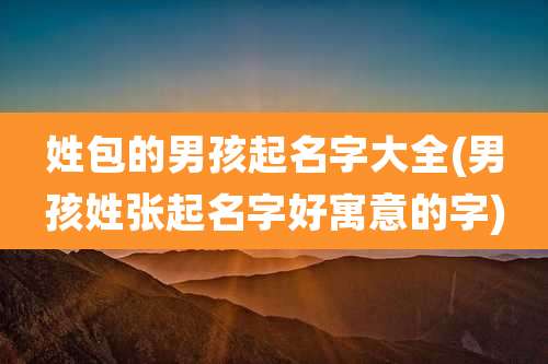 姓包的男孩起名字大全(男孩姓张起名字好寓意的字)
