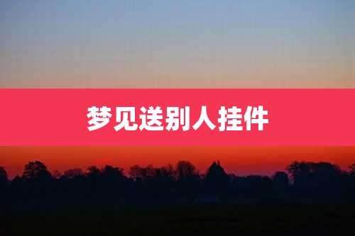 梦见送别人挂件