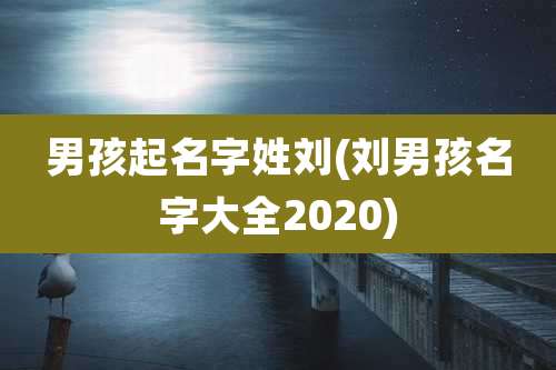 男孩起名字姓刘(刘男孩名字大全2020)