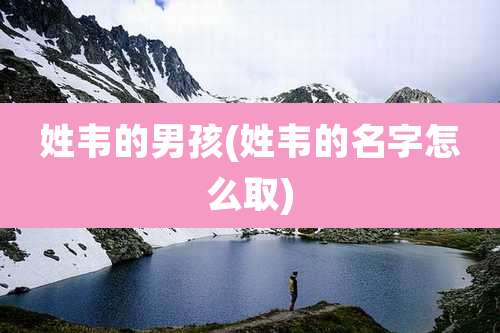 姓韦的男孩(姓韦的名字怎么取)