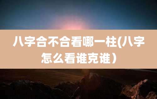 八字合不合看哪一柱(八字怎么看谁克谁）
