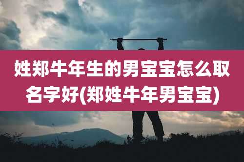 姓郑牛年生的男宝宝怎么取名字好(郑姓牛年男宝宝)