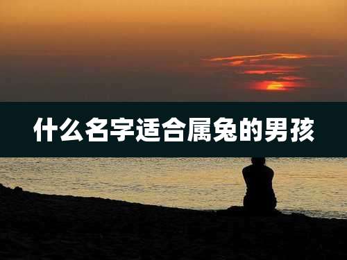 什么名字适合属兔的男孩