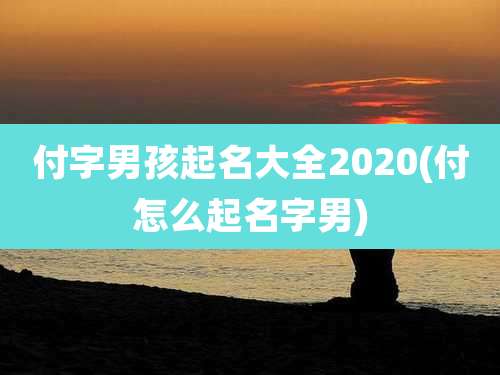 付字男孩起名大全2020(付怎么起名字男)