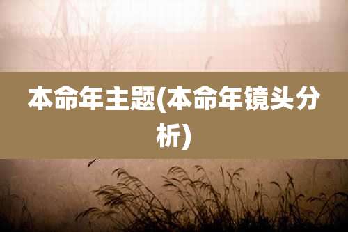 本命年主题(本命年镜头分析)
