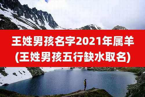 王姓男孩名字2021年属羊(王姓男孩五行缺水取名)