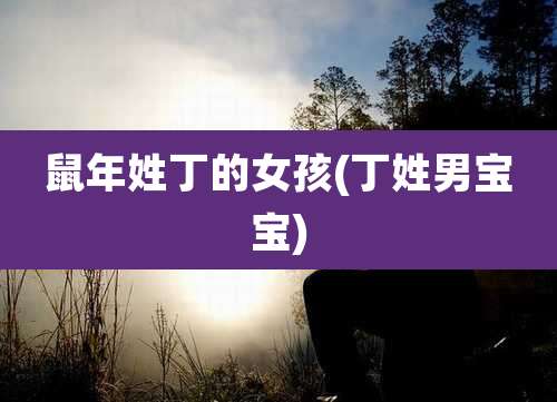 鼠年姓丁的女孩(丁姓男宝宝)