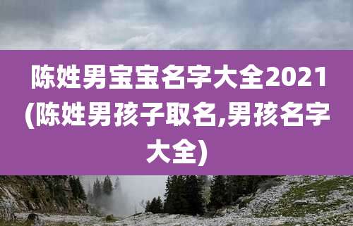 陈姓男宝宝名字大全2021(陈姓男孩子取名,男孩名字大全)