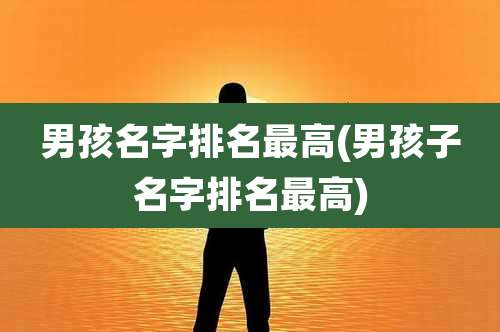 男孩名字排名最高(男孩子名字排名最高)