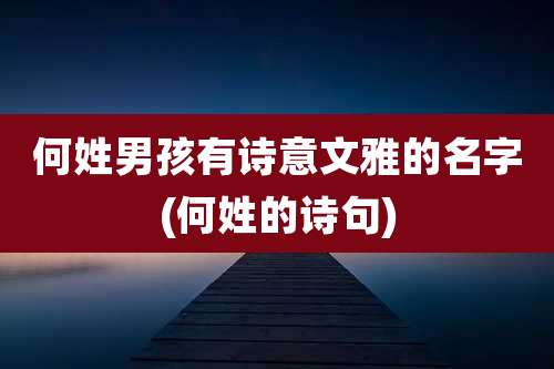 何姓男孩有诗意文雅的名字(何姓的诗句)