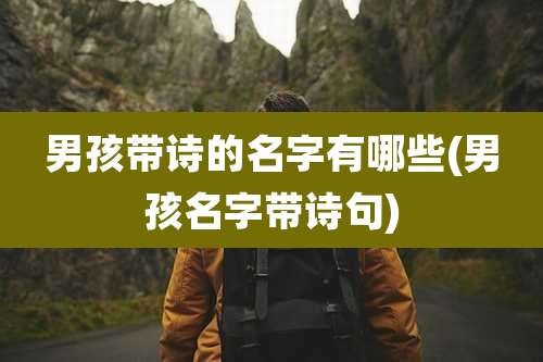 男孩带诗的名字有哪些(男孩名字带诗句)