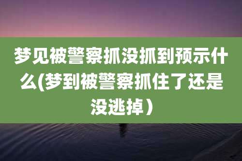 梦见被警察抓没抓到预示什么(梦到被警察抓住了还是没逃掉)