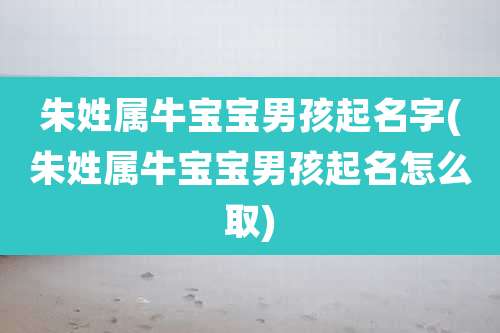 朱姓属牛宝宝男孩起名字(朱姓属牛宝宝男孩起名怎么取)