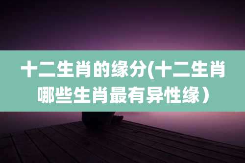 十二生肖的缘分(十二生肖哪些生肖最有异性缘)