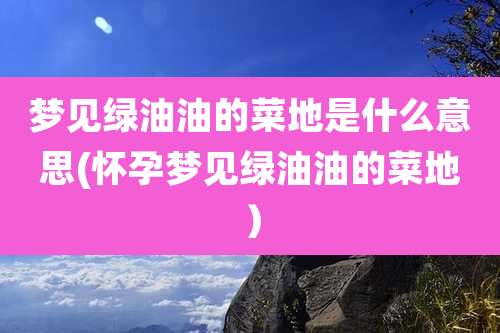 梦见绿油油的菜地是什么意思(怀孕梦见绿油油的菜地)