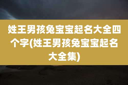 姓王男孩兔宝宝起名大全四个字(姓王男孩兔宝宝起名大全集)