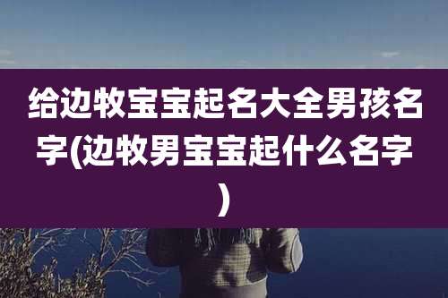 给边牧宝宝起名大全男孩名字(边牧男宝宝起什么名字)
