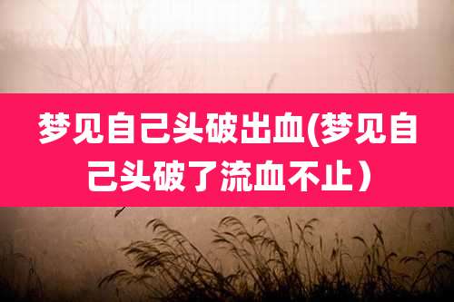 梦见自己头破出血(梦见自己头破了流血不止)