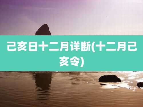 己亥日十二月详断(十二月己亥令)