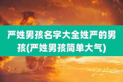 严姓男孩名字大全姓严的男孩(严姓男孩简单大气)