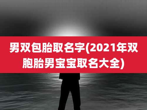 男双包胎取名字(2021年双胞胎男宝宝取名大全)