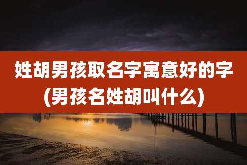 姓胡男孩取名字寓意好的字(男孩名姓胡叫什么)