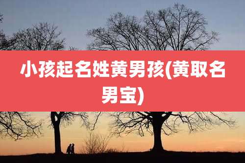 小孩起名姓黄男孩(黄取名男宝)