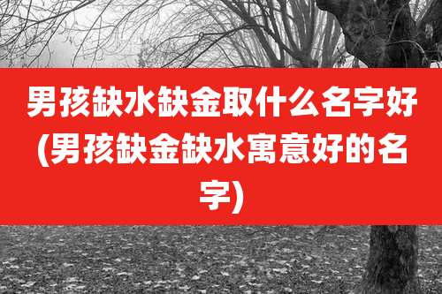 男孩缺水缺金取什么名字好(男孩缺金缺水寓意好的名字)