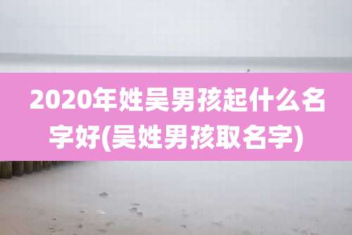 2020年姓吴男孩起什么名字好(吴姓男孩取名字)
