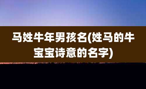 马姓牛年男孩名(姓马的牛宝宝诗意的名字)