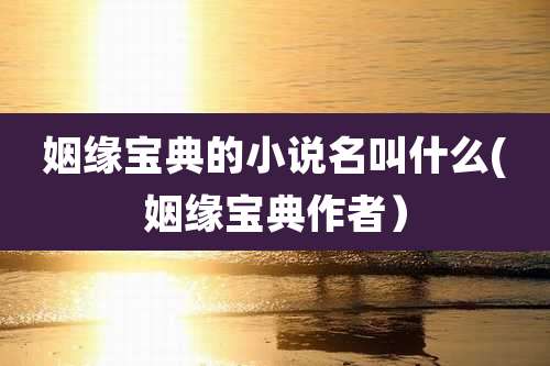 姻缘宝典的小说名叫什么(姻缘宝典作者）