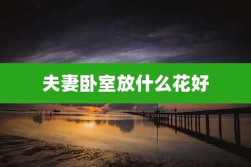 夫妻卧室放什么花好