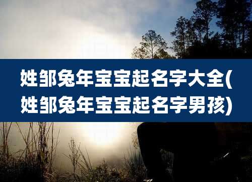 姓邹兔年宝宝起名字大全(姓邹兔年宝宝起名字男孩)