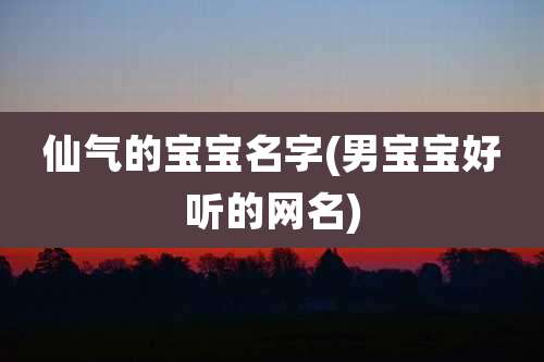仙气的宝宝名字(男宝宝好听的网名)