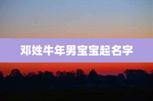 邓姓牛年男宝宝起名字