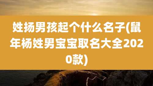 姓扬男孩起个什么名子(鼠年杨姓男宝宝取名大全2020款)