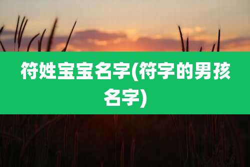 符姓宝宝名字(符字的男孩名字)