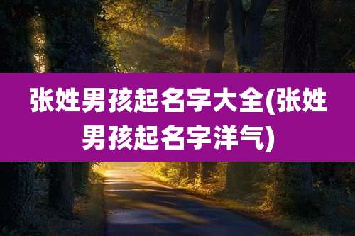 张姓男孩起名字大全(张姓男孩起名字洋气)