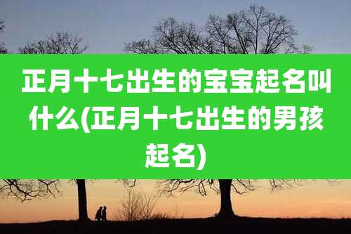 正月十七出生的宝宝起名叫什么(正月十七出生的男孩起名)