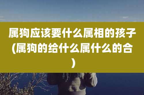 属狗应该要什么属相的孩子(属狗的给什么属什么的合)