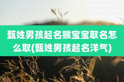 甄姓男孩起名猴宝宝取名怎么取(甄姓男孩起名洋气)