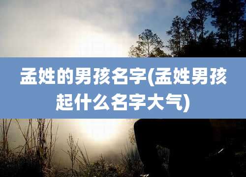 孟姓的男孩名字(孟姓男孩起什么名字大气)