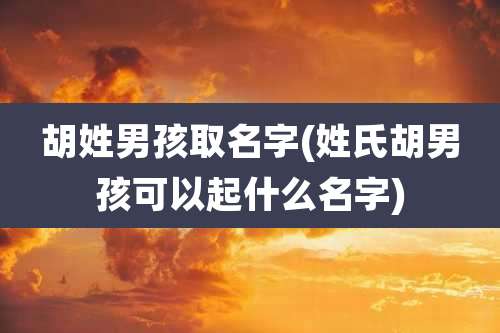胡姓男孩取名字(姓氏胡男孩可以起什么名字)