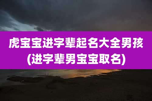 虎宝宝进字辈起名大全男孩(进字辈男宝宝取名)