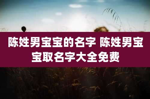陈姓男宝宝的名字 陈姓男宝宝取名字大全免费