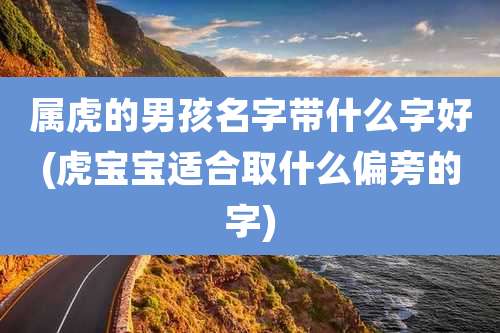 属虎的男孩名字带什么字好(虎宝宝适合取什么偏旁的字)
